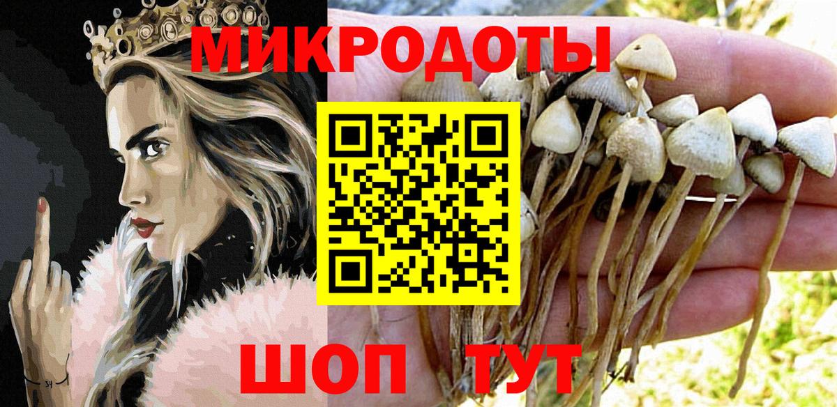 Галлюциногенные грибы MAGIC MUSHROOMS Тельмана